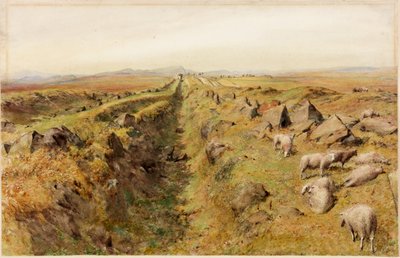 Limestone Bank by Henry Burdon Richardson